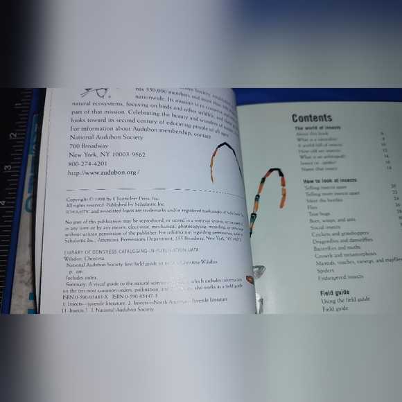 Scholastic National Audubon First Field Guide Reptiles, Insects, and Mammals - Picture 11 of 16